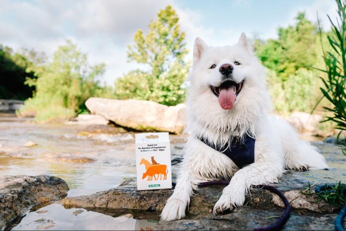 improve-your-pet’s-life-by-identifying-intolerances-with-this-at-home-testing-kit