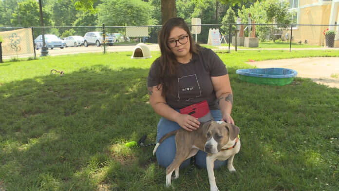 shelter-worker-says-rescued-dog-rescued-her