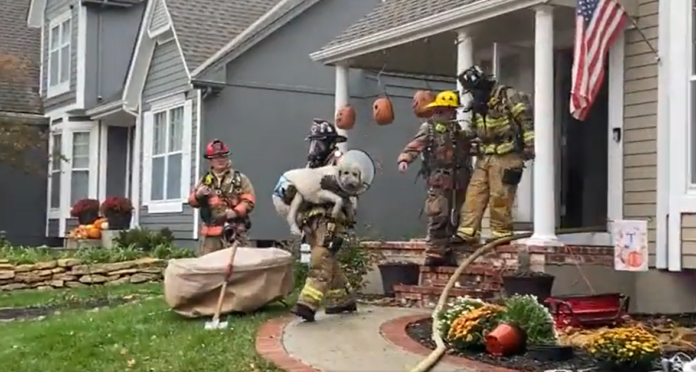 dog-rescued,-no-injuries-after-house-fire
