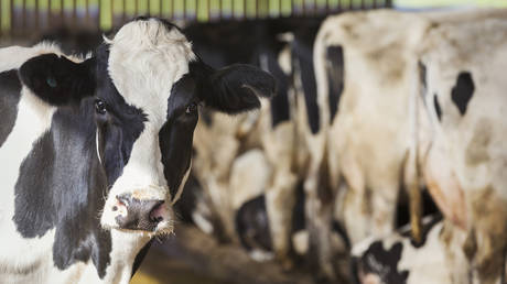 one-more-sector-of-uk-economy-hit-with-severe-labor-shortage