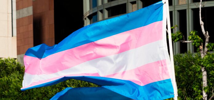 these-trans-entrepreneurs-of-color-are-closing-out-trans-awareness-week-with-messages-of-hope