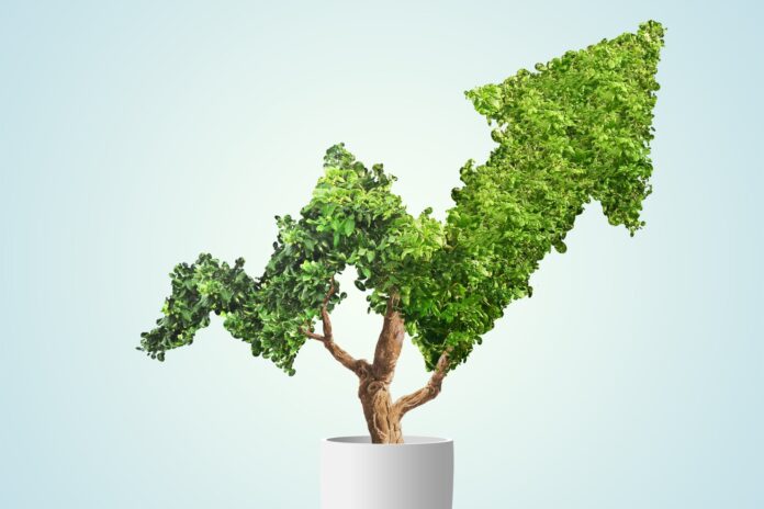 the-top-3-sustainable-business-practices-for-entrepreneurs