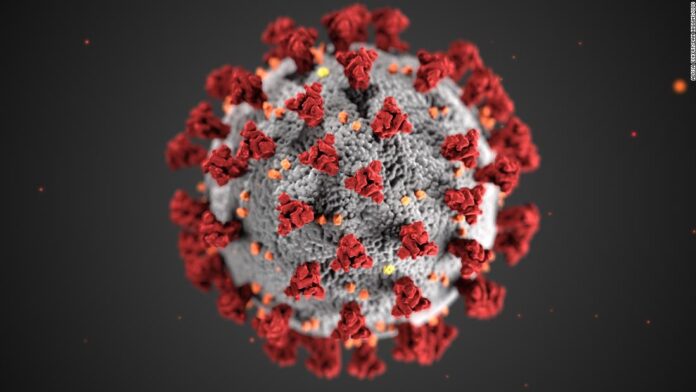 a-new-covid-19-variant-could-show-immune-evasion-and-enhanced-transmissibility,-south-african-scientists-warn