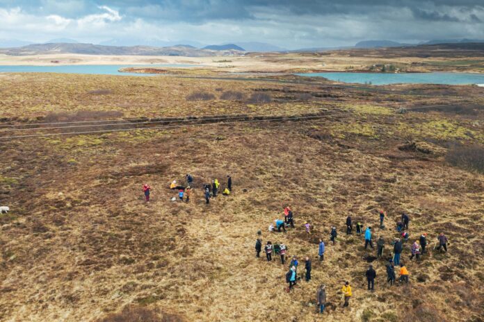 icelandic-brand-partners-with-forestry-organization-to-bring-back-trees-to-a-barren,-windswept-landscape