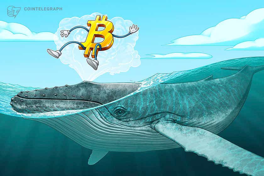 bitcoin-whales-move-fresh-coins-to-exchanges-in-repeat-of-behavior-before-$42k-btc-price-dip
