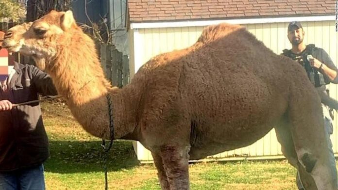 exhibit-helps-tell-story-of-wisconsin-agriculture exhibit-helps-tell-story-of-wisconsin-agriculture