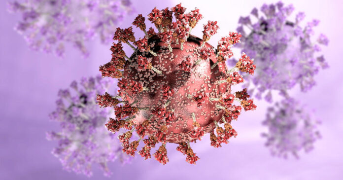 ceos,-scientists-on-whether-current-vaccines-can-fight-omicron