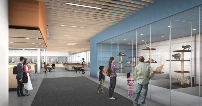 animal-humane-society-receives-$6m-donation