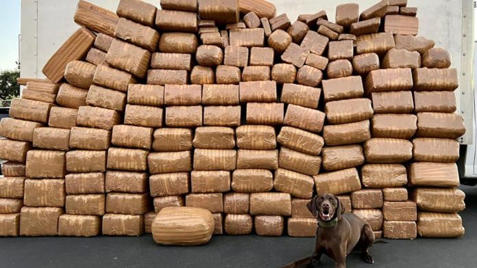 5,000-pounds-of-meth-seized-in-san-diego-county-after-truck-is-followed-after-crossing-border,-officials-say 5,000-pounds-of-meth-seized-in-san-diego-county-after-truck-is-followed-after-crossing-border,-officials-say