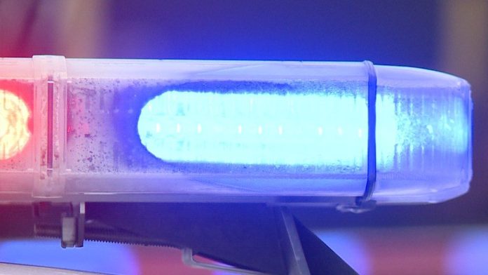 teen-accidentally-shoots-self-after-animal-scare