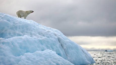 moscow-calls-for-joint-russia-us-projects-in-the-arctic moscow-calls-for-joint-russia-us-projects-in-the-arctic