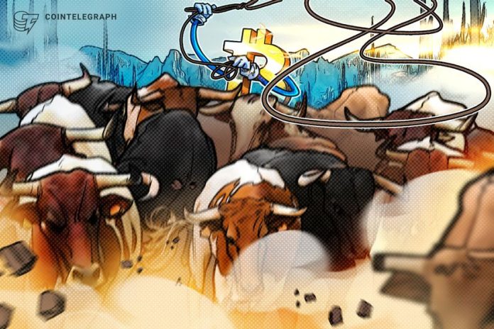 crypto-biz:-the-bitcoin-bull-market-isn’t-dead-yet