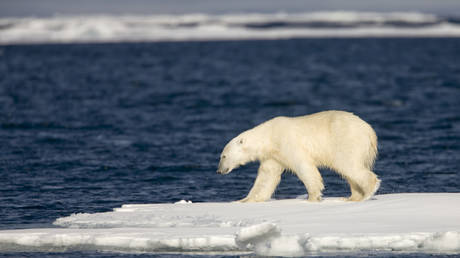 us-eyes-arctic-cooperation-with-gazprom-–-bloomberg us-eyes-arctic-cooperation-with-gazprom-–-bloomberg