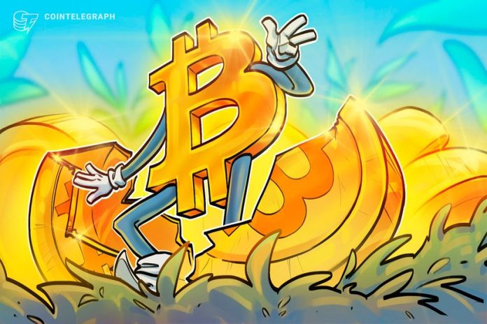 'strategy-is-synthetically-halving-bitcoin'-—-author-and-analyst