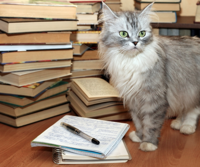 movies-and-tv-show-reading-list-by-jayne movies-and-tv-show-reading-list-by-jayne